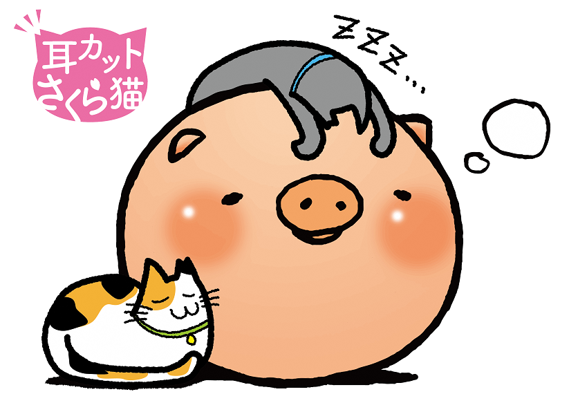 猫ころとん
